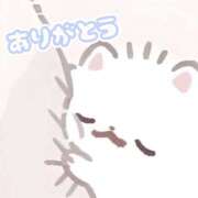 りん いっぱい褒めてくれるKさん? 千葉松戸ちゃんこ