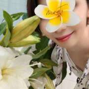 ヒメ日記 2025/08/10 16:03 投稿 岸山みなと(きしやまみなと) 東京ヒストリー lettre d'amour