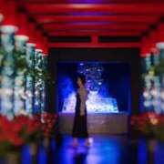 ヒメ日記 2025/11/16 18:02 投稿 岸山みなと(きしやまみなと) 東京ヒストリー lettre d'amour