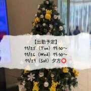 ヒメ日記 2025/11/25 08:42 投稿 岸山みなと(きしやまみなと) 東京ヒストリー lettre d'amour