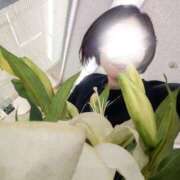 岸山みなと(きしやまみなと) ショートヘアの女性は好き？ 東京ヒストリー lettre d'amour