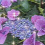ヒメ日記 2026/06/18 16:12 投稿 岸山みなと(きしやまみなと) 東京ヒストリー lettre d'amour