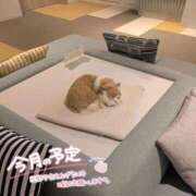 ヒメ日記 2026/07/06 18:32 投稿 岸山みなと(きしやまみなと) 東京ヒストリー lettre d'amour