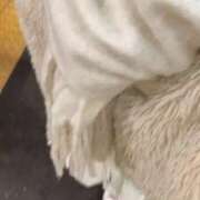 ヒメ日記 2025/12/04 21:53 投稿 小嶋　みれい NADIA大阪店