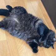 ヒメ日記 2025/07/25 11:03 投稿 しずか☆BASIC Ribbon 1st