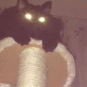 ヒメ日記 2025/07/25 12:06 投稿 しずか☆BASIC Ribbon 1st