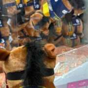 ヒメ日記 2025/12/13 19:10 投稿 つぐみ ハンドキャンパス池袋