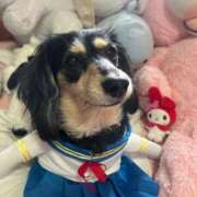 ヒメ日記 2025/07/28 10:35 投稿 もえ 舐めたくてグループ～君とサプライズ学園～越谷校