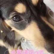 ヒメ日記 2025/09/06 20:45 投稿 もえ 舐めたくてグループ～君とサプライズ学園～越谷校