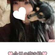 ヒメ日記 2025/09/07 12:45 投稿 もえ 舐めたくてグループ～君とサプライズ学園～越谷校