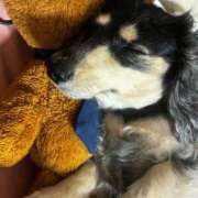 ヒメ日記 2026/01/23 11:25 投稿 もえ 舐めたくてグループ～君とサプライズ学園～越谷校