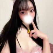 ヒメ日記 2025/08/03 10:16 投稿 ミノリ きらめけ！にゃんにゃん学園in大宮