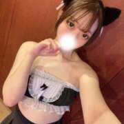 ミノリ 🎀最速22時頃〜🈳🎀 きらめけ！にゃんにゃん学園in大宮