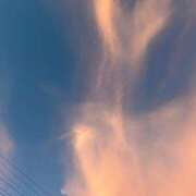 ヒメ日記 2025/07/28 18:47 投稿 ゆきの おねだり！ココナッツ