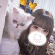 ヒメ日記 2026/06/29 10:38 投稿 美月(みづき) 厚木奥様Life