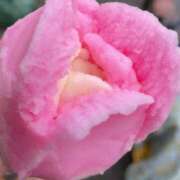 ヒメ日記 2025/08/21 14:51 投稿 溝口ちさと 五反田ヒーローズ（ユメオト）