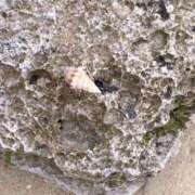 ヒメ日記 2025/08/30 03:21 投稿 溝口ちさと 五反田ヒーローズ（ユメオト）