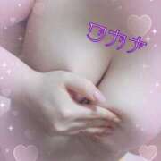 ヒメ日記 2025/10/24 19:17 投稿 若菜（わかな） 丸妻 錦糸町店