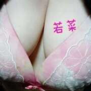 ヒメ日記 2026/01/24 12:00 投稿 若菜（わかな） 丸妻 錦糸町店