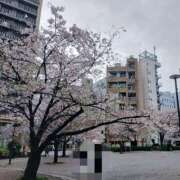 ヒメ日記 2026/04/09 00:10 投稿 若菜（わかな） 丸妻 錦糸町店