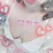 若菜（わかな） 買い物控えよ 丸妻 錦糸町店