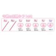 ヒメ日記 2026/02/17 20:18 投稿 こなつ アップル(長崎)