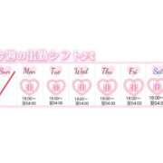 ヒメ日記 2026/04/13 20:13 投稿 こなつ アップル(長崎)