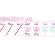 ヒメ日記 2026/04/29 19:18 投稿 こなつ アップル(長崎)