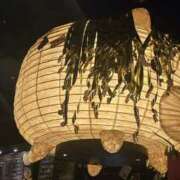 ヒメ日記 2026/04/10 09:27 投稿 新垣 モアグループ所沢人妻城