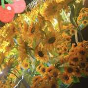 ヒメ日記 2025/08/18 21:34 投稿 ゆきの びちょ美女