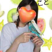 ヒメ日記 2026/02/27 17:08 投稿 こと 熟女の風俗最終章 新潟店