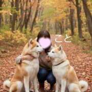 ヒメ日記 2026/02/28 13:03 投稿 こと 熟女の風俗最終章 新潟店