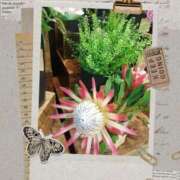 ヒメ日記 2025/11/07 01:07 投稿 せりあ 完熟ばなな 立川