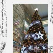 ヒメ日記 2025/11/10 23:37 投稿 せりあ 完熟ばなな 立川