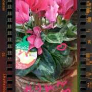 せりあ 癒し〜人妻日記🙂 完熟ばなな 立川