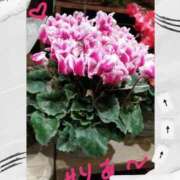 せりあ 癒し〜人妻日記🙂 完熟ばなな 立川