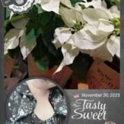 せりあ 癒し〜人妻日記😍 完熟ばなな 立川