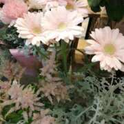 ヒメ日記 2025/12/20 22:27 投稿 せりあ 完熟ばなな 立川