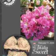 ヒメ日記 2026/02/11 22:37 投稿 せりあ 完熟ばなな 立川