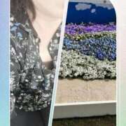 せりあ 春1番〜🌸 完熟ばなな 立川