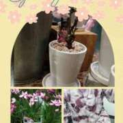 ヒメ日記 2026/03/01 22:27 投稿 せりあ 完熟ばなな 立川