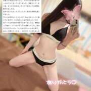 ヒメ日記 2025/09/25 09:06 投稿 くろむ マリン宇都宮店