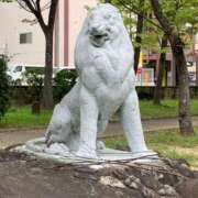 ヒメ日記 2025/09/20 13:52 投稿 なのは 熟女総本店 堺東店