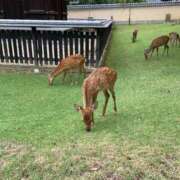ヒメ日記 2025/09/20 19:08 投稿 なのは 熟女総本店 堺東店