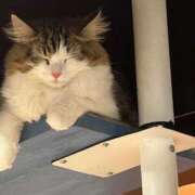 ヒメ日記 2025/07/28 17:10 投稿 もか☆天然Ｈカップ！！ JKサークル