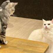 ヒメ日記 2025/08/02 17:55 投稿 もか☆天然Ｈカップ！！ JKサークル