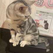 ヒメ日記 2025/11/08 15:15 投稿 もか☆天然Ｈカップ！！ JKサークル