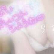 ヒメ日記 2025/09/03 07:05 投稿 らみ メイドde本舗