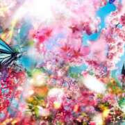 ヒメ日記 2025/11/05 08:59 投稿 涼風駿 プルデリR40