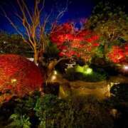 ヒメ日記 2025/12/08 10:27 投稿 涼風駿 プルデリR40